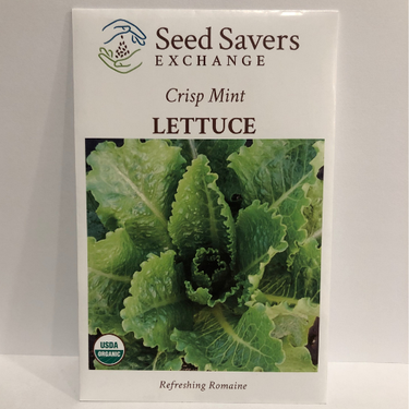 Crisp Mint Lettuce, Organic